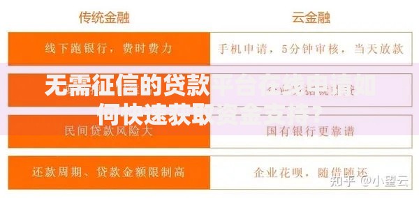 无需征信的贷款平台在线申请如何快速获取资金支持？
