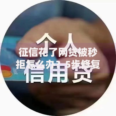 征信花了网贷被秒拒怎么办？5步修复征信快速下款