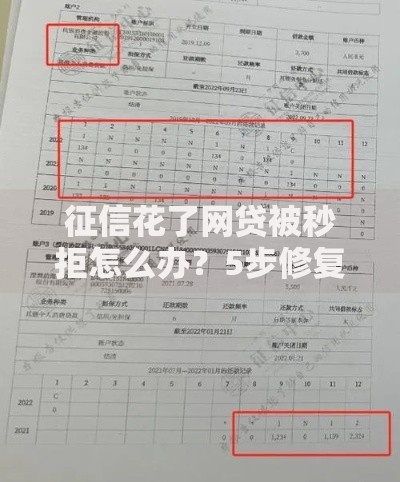 征信花了网贷被秒拒怎么办？5步修复征信快速下款