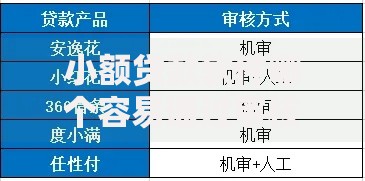小额贷款软件哪个容易通过审核？资质与平台深度解析