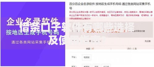 借条口子软件有哪些选择及使用指南？