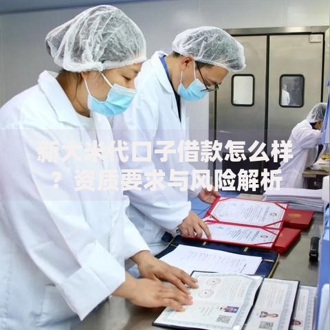 新大米代口子借款怎么样？资质要求与风险解析