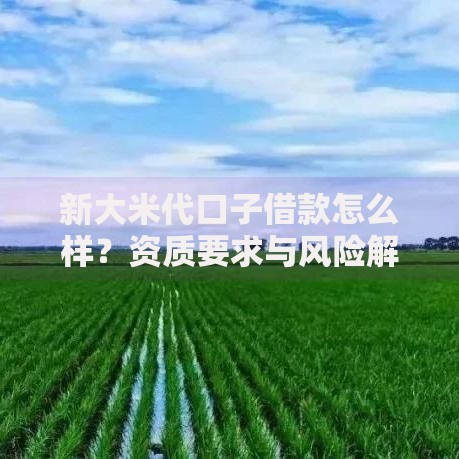新大米代口子借款怎么样？资质要求与风险解析