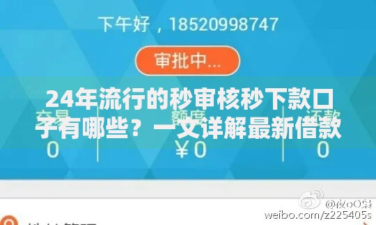 24年流行的秒审核秒下款口子有哪些？一文详解最新借款渠道