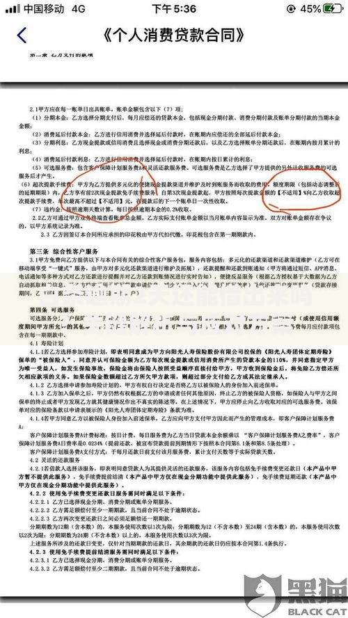 白条逾期2天还能借出来吗?关键解析与应对方案 白条逾期2天还能借出来吗?关键解析与应对方案