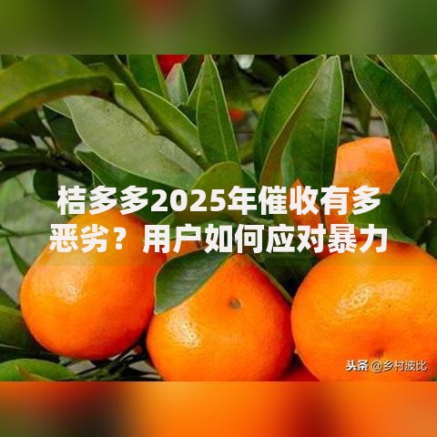 桔多多2025年催收有多恶劣？用户如何应对暴力催收