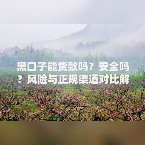 黑口子能货款吗？安全吗？风险与正规渠道对比解析