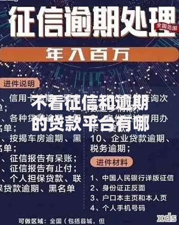 不看征信和逾期的贷款平台有哪些？正规渠道深度解析