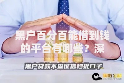 黑户百分百能借到钱的平台有哪些？深度解析可靠借款渠道