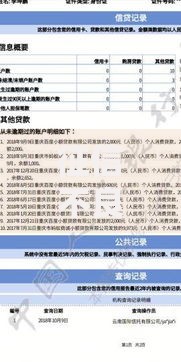 征信不良黑花了能借款吗?解析征信差也能下款的渠道与技巧 征信不良黑花了能借款吗?解析征信差也能下款的渠道与技巧