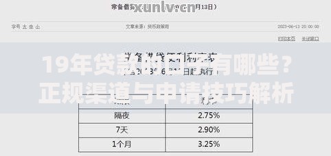 19年贷款的口子有哪些？正规渠道与申请技巧解析