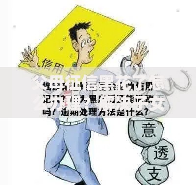 父母征信黑花了怎么办理？解决子女贷款难题的实用指南