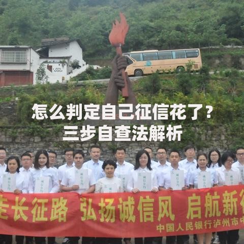 怎么判定自己征信花了？三步自查法解析