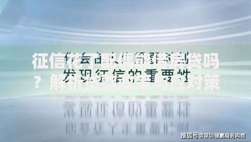 征信花了配偶能借房贷吗？解析贷款政策与应对策略