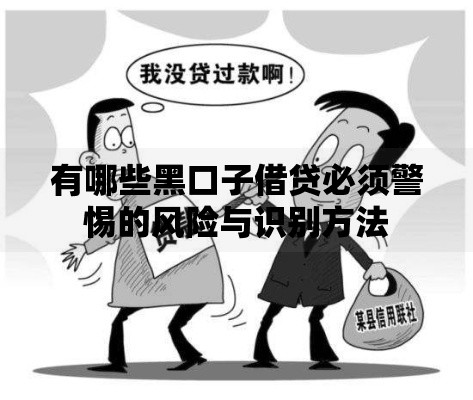 有哪些黑口子借贷必须警惕的风险与识别方法 有哪些黑口子借贷必须警惕的风险与识别方法
