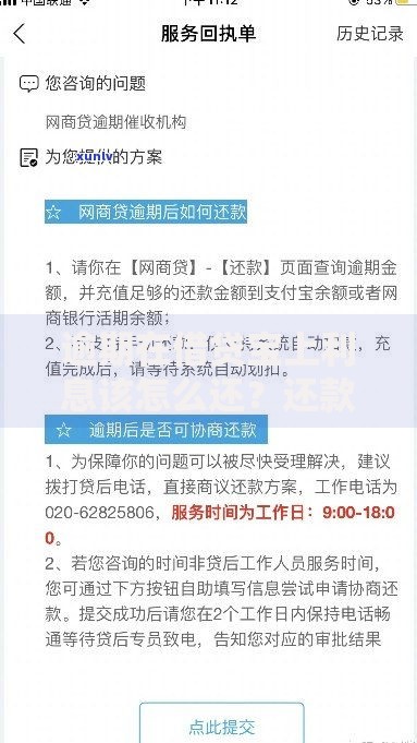 逾期在借贷宝上利息该怎么还？还款流程与协商技巧