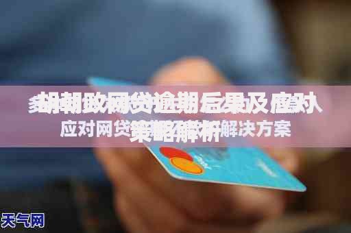 胡朝政网贷逾期后果及应对策略解析