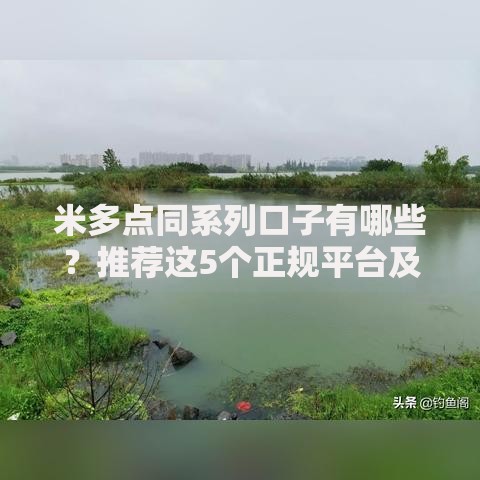米多点同系列口子有哪些？推荐这5个正规平台及申请攻略