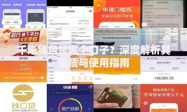 千米钱包是哪个口子？深度解析其资质与使用指南