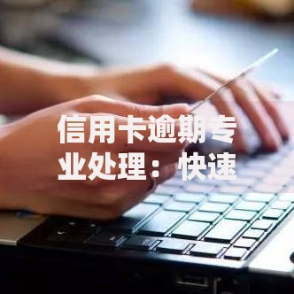 信用卡逾期专业处理：快速解决债务危机的权威指南