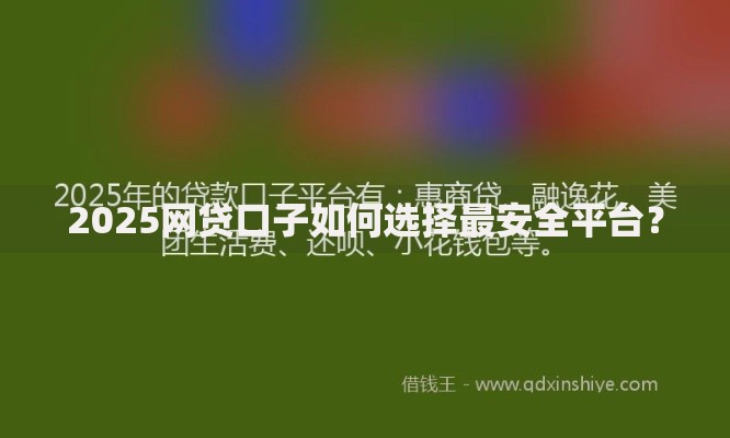 2025网贷口子如何选择最安全平台？