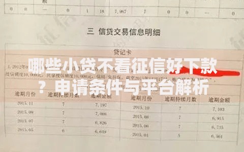 哪些小贷不看征信好下款？申请条件与平台解析
