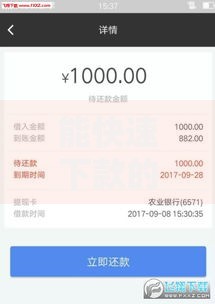 能快速下款的小额贷款申请攻略与平台对比
