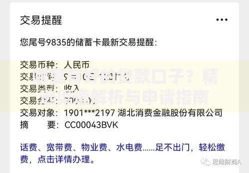 哪里有好的贷款口子？精选渠道解析与申请指南