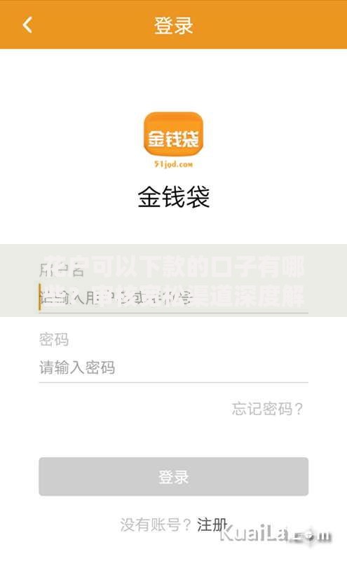 花户可以下款的口子有哪些？审核宽松渠道深度解析
