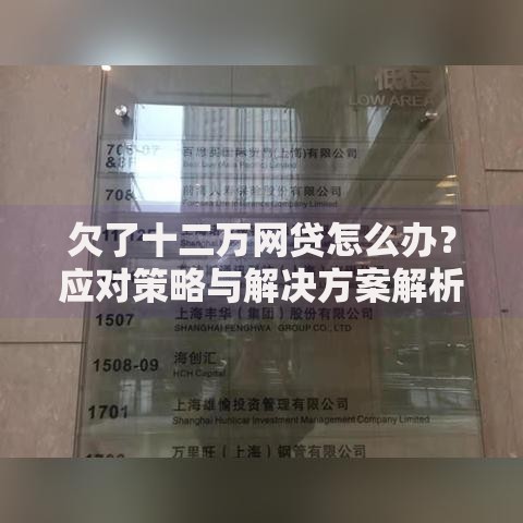 欠了十二万网贷怎么办？应对策略与解决方案解析