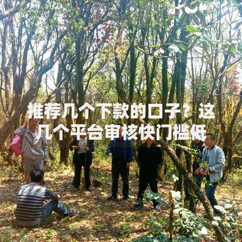 推荐几个下款的口子？这几个平台审核快门槛低