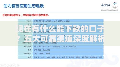 现在有什么能下款的口子？五大可靠渠道深度解析