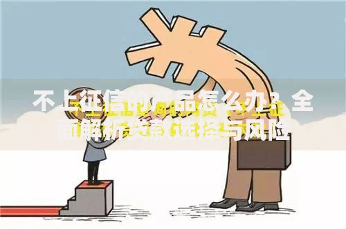 不上征信的产品怎么办？全面解析贷款选择与风险