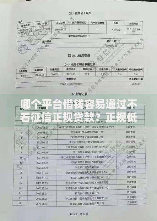 哪个平台借钱容易通过不看征信正规贷款？正规低门槛渠道深度解析