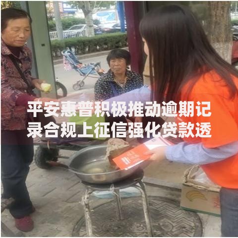 平安惠普积极推动逾期记录合规上征信强化贷款透明度