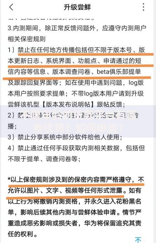 不限年龄的贷款平台有哪些优势？如何申请？