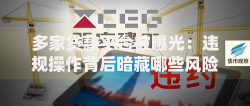 多家贷款平台被曝光：违规操作背后暗藏哪些风险？