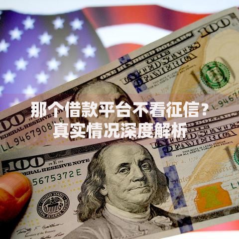 那个借款平台不看征信？真实情况深度解析