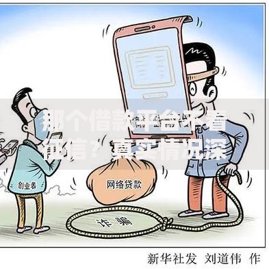 那个借款平台不看征信？真实情况深度解析