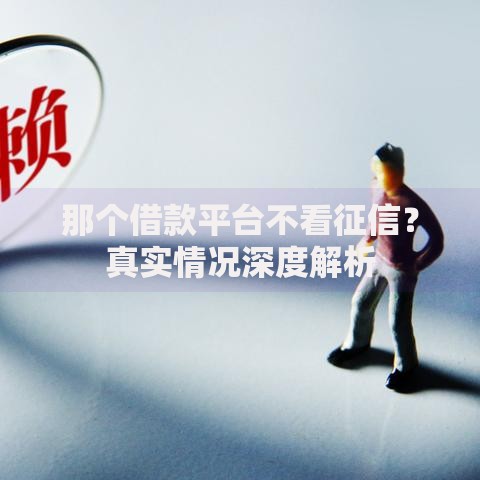 那个借款平台不看征信？真实情况深度解析