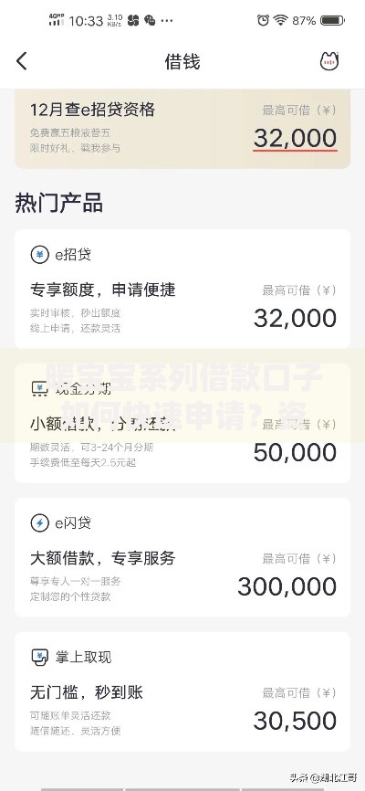暖宝宝系列借款口子如何快速申请？资质要求与风险解析