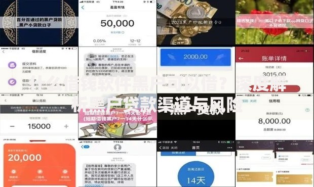 什么借钱软件黑户可以借？深度解析黑户贷款渠道与风险