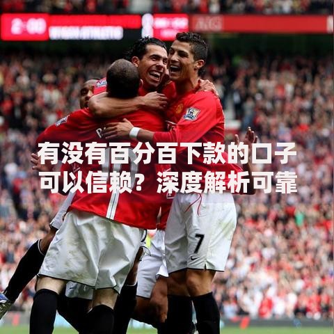 有没有百分百下款的口子可以信赖？深度解析可靠贷款渠道