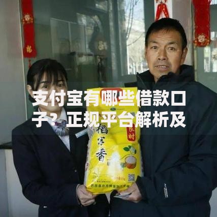 支付宝有哪些借款口子？正规平台解析及申请攻略