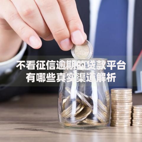 不看征信逾期的贷款平台有哪些真实渠道解析