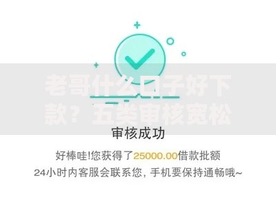 老哥什么口子好下款？五类审核宽松平台实测解析
