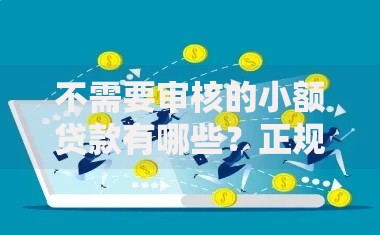 不需要审核的小额贷款有哪些？正规平台与申请指南