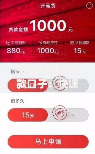 无视芝麻的贷款口子：快速下款渠道全解析