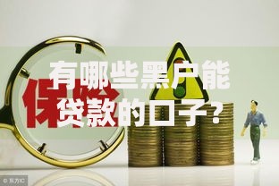有哪些黑户能贷款的口子？深度解析借款途径与风险