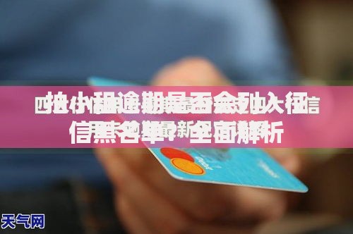 拍小租逾期是否会列入征信黑名单？全面解析